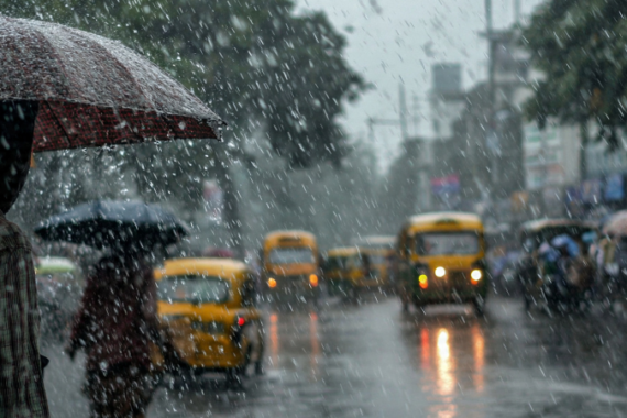 Monsoon Hair Care Tips: How to Keep Your Hair Healthy During the Rainy Season